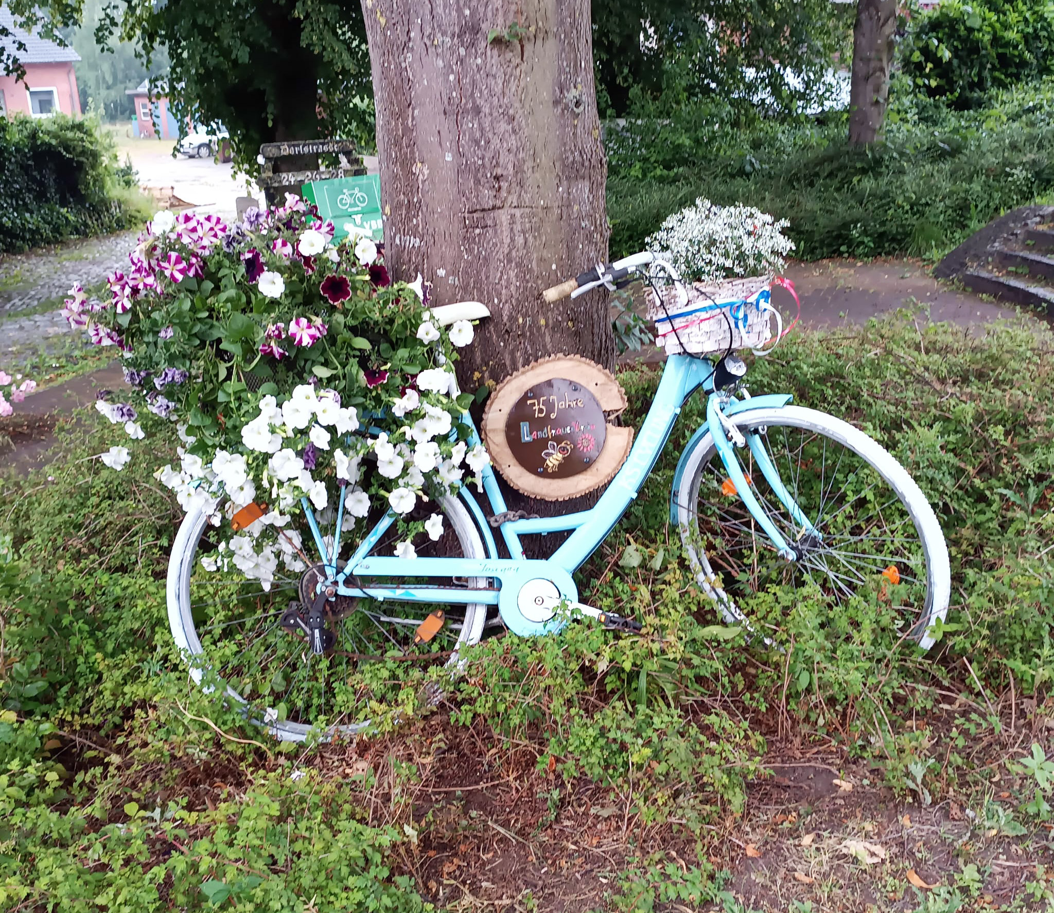 Blumenthal, Rotenhahn