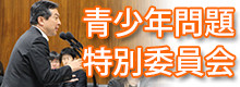 青少年問題に関する特別委員会