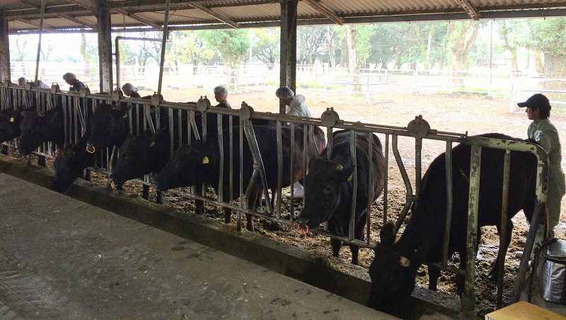 ホーム - 宮崎大学 産業動物臨床繁殖学研究室（リンパン）