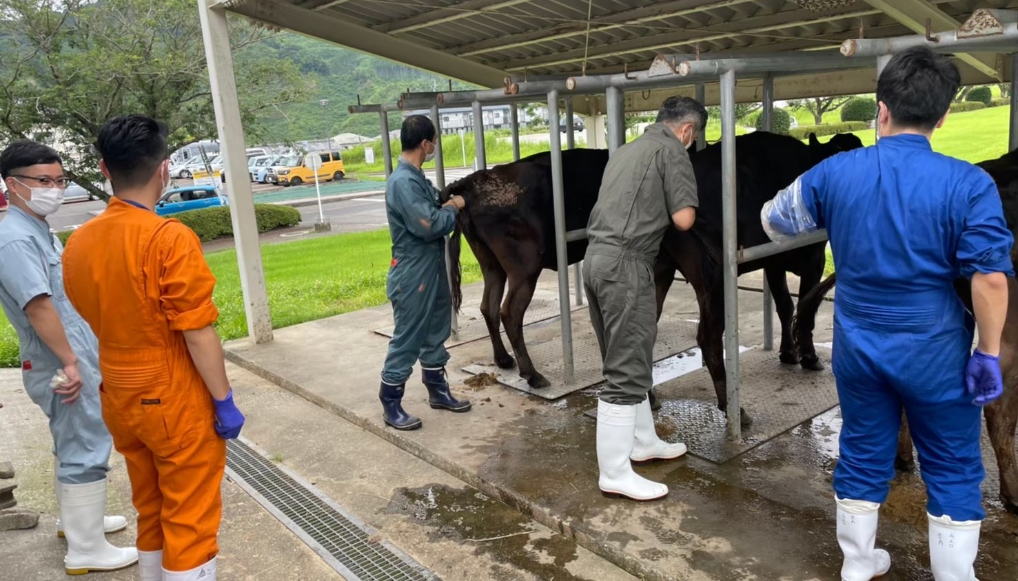 ホーム - 宮崎大学 産業動物臨床繁殖学研究室（リンパン）