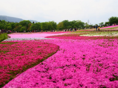 羊山公園