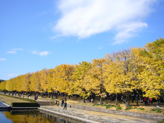 昭和記念公園