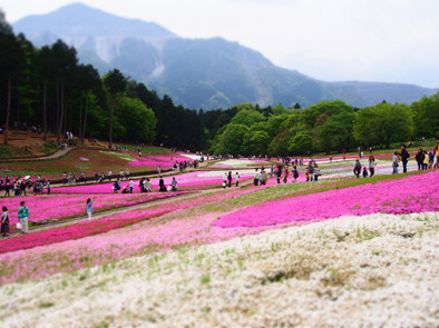 羊山公園