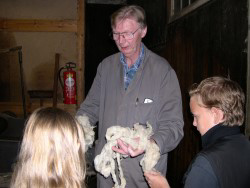 Du spinnst wohl! – Führungen durch die Wollspinnerei