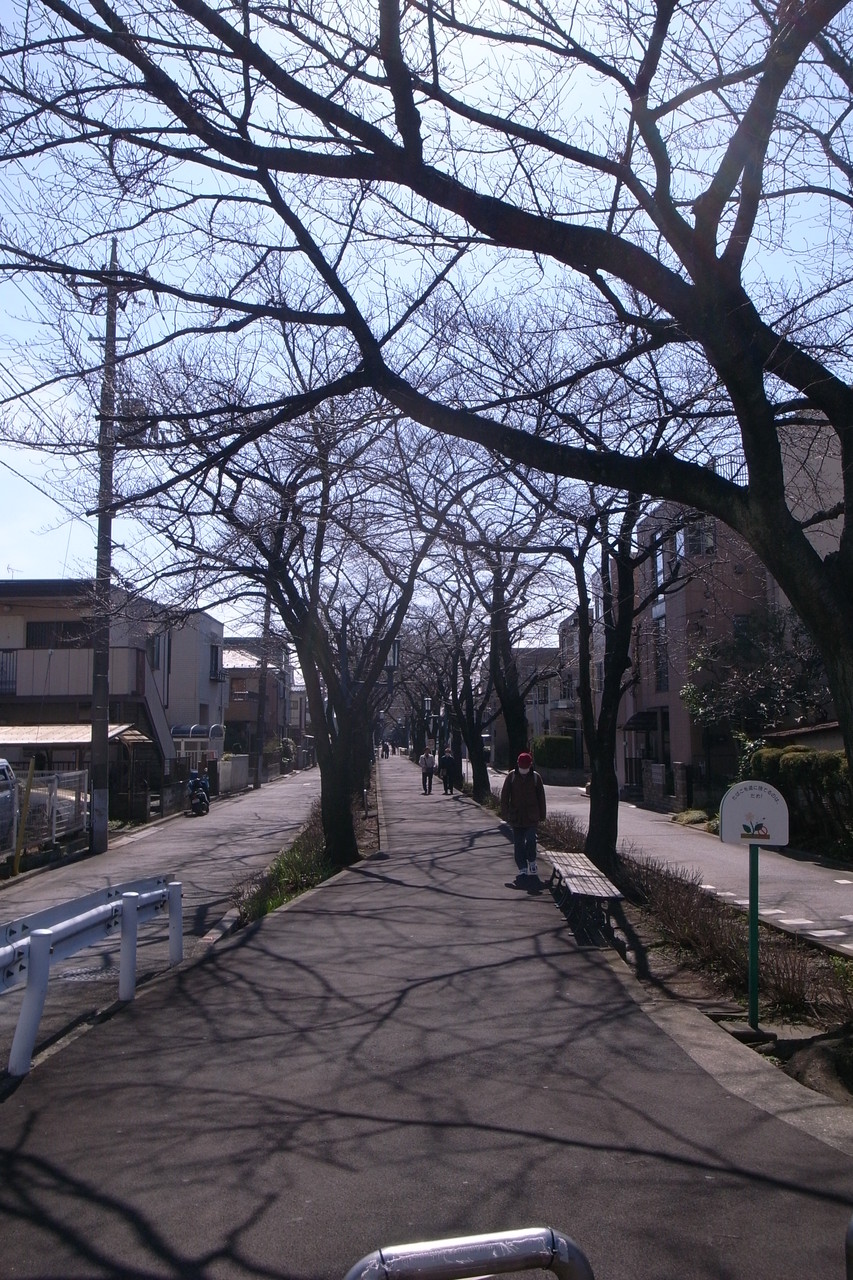 花と緑の散歩道 ２２０ｍ（徒歩３分）