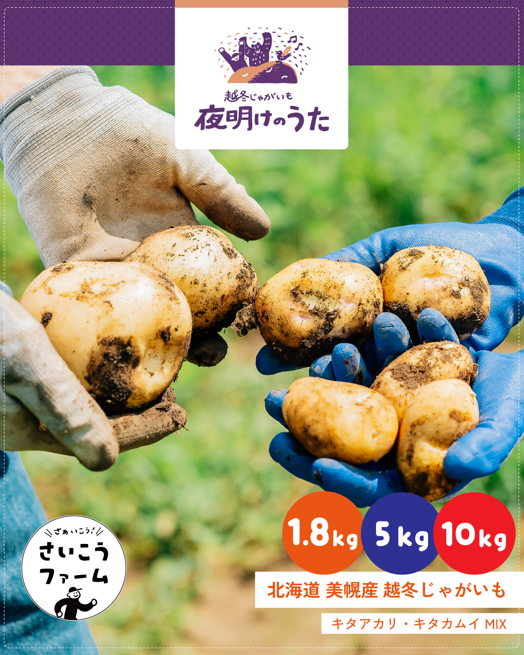 越冬じゃがいも2026「夜明けのうた」発売開始のお知らせ（3/15まで10％OFF）