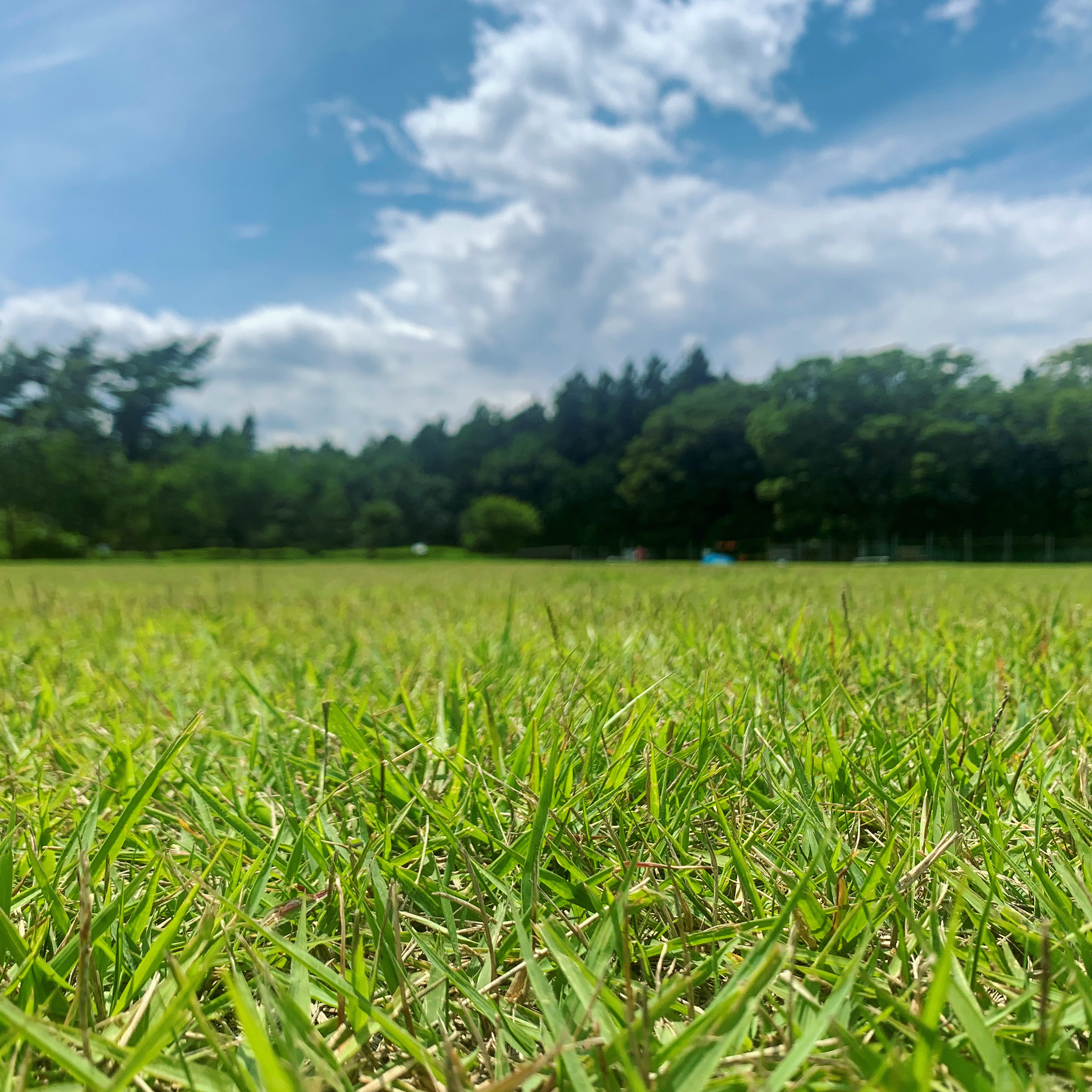 ご予約フォーム （閉鎖中） - 足柄ドッグランCOCOページ！