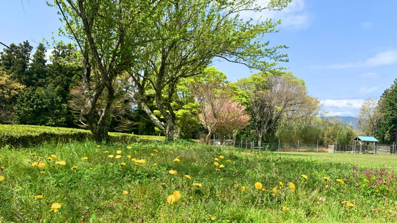 利用料金 - 足柄ドッグランCOCOページ！