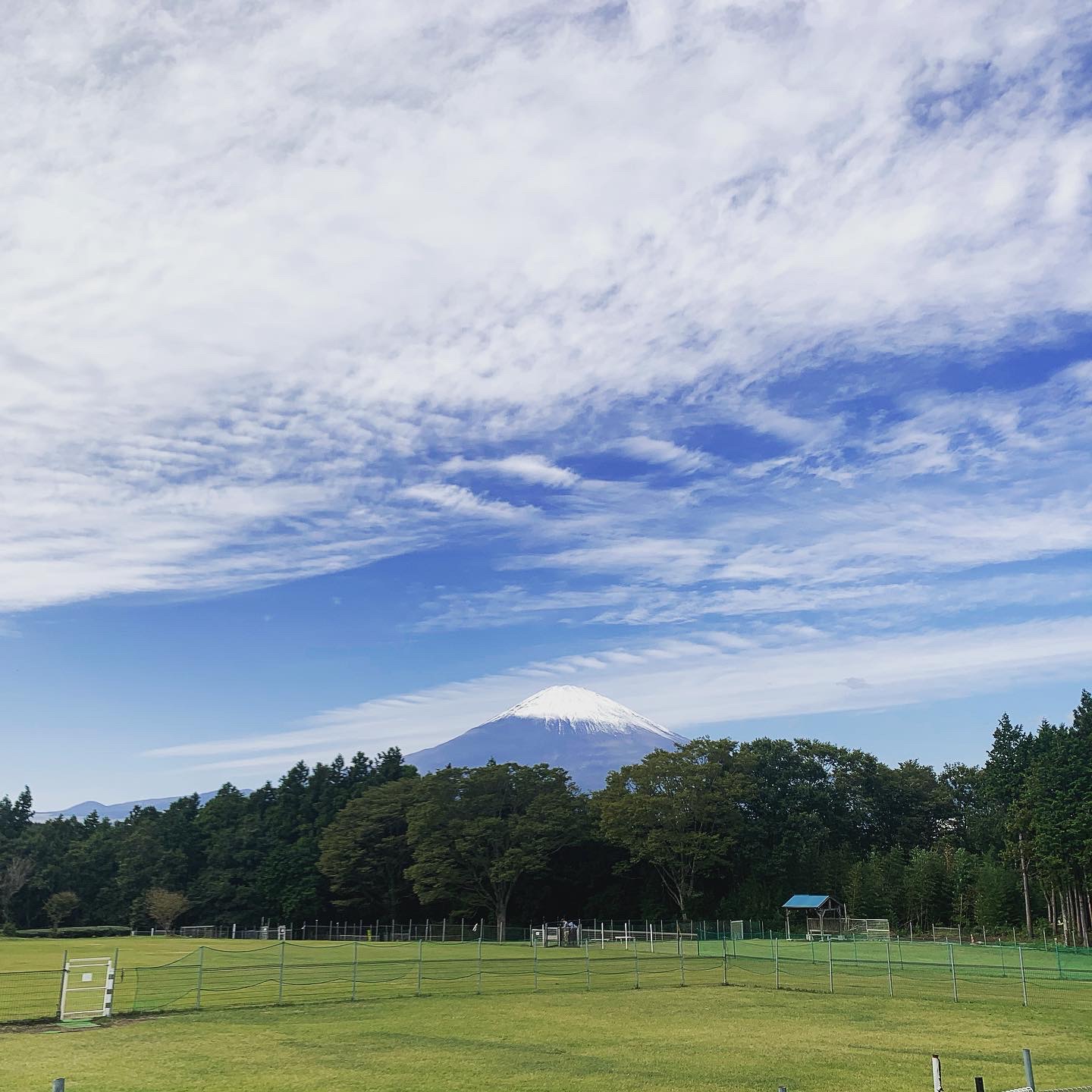 貸切予約カレンダー - 足柄ドッグランCOCOページ！