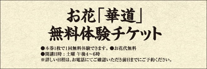 お花「華道」　無料体験チケット