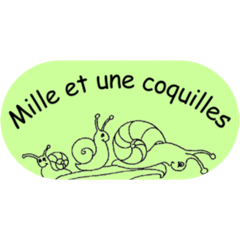 Mille et une coquilles