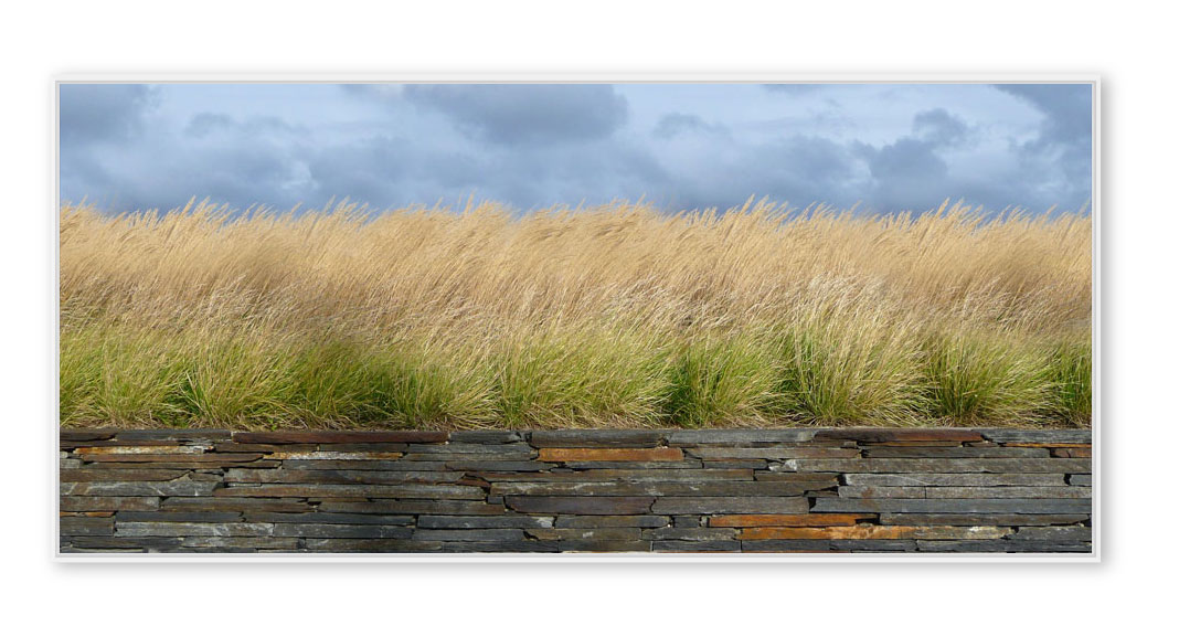 Gras-Dänemark-001