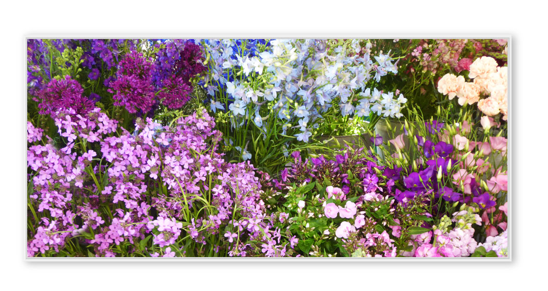 Blumenmarkt-002-P1220476