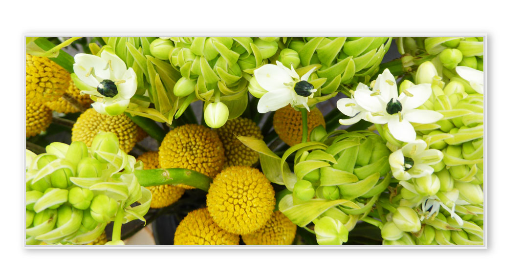 Blumenmarkt-003-P1220454