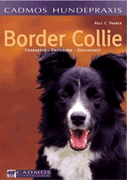 Border Collie - Charakter, Erziehung, Gesundheit