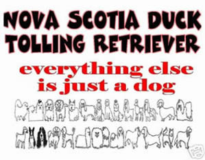 Nova Scotia Duck Tolling Retriever, was sonst?