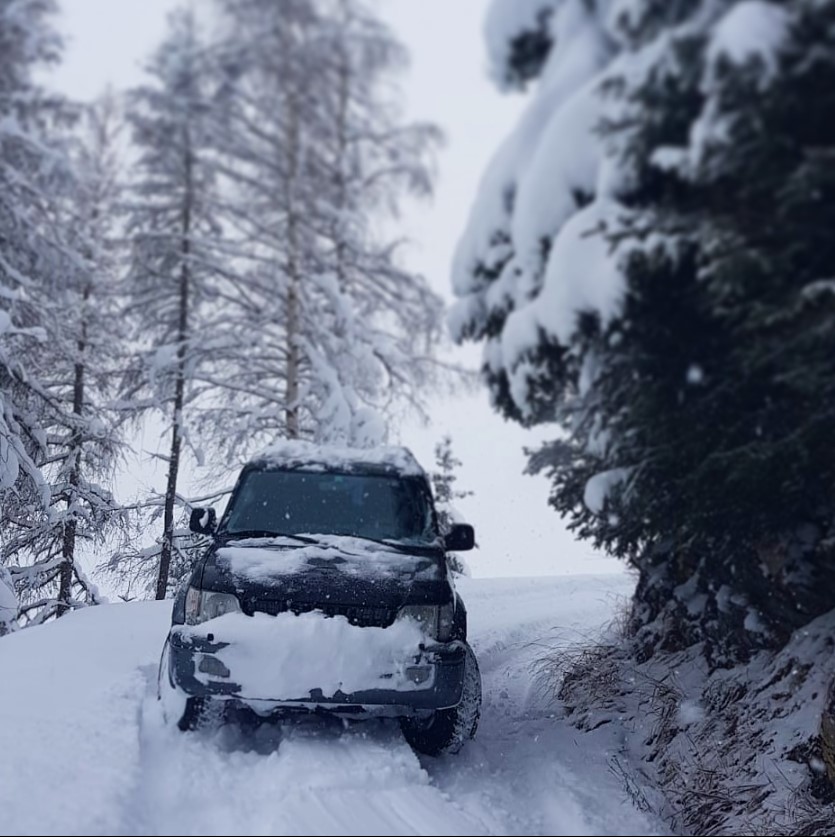 TOYOTA LandCruiser