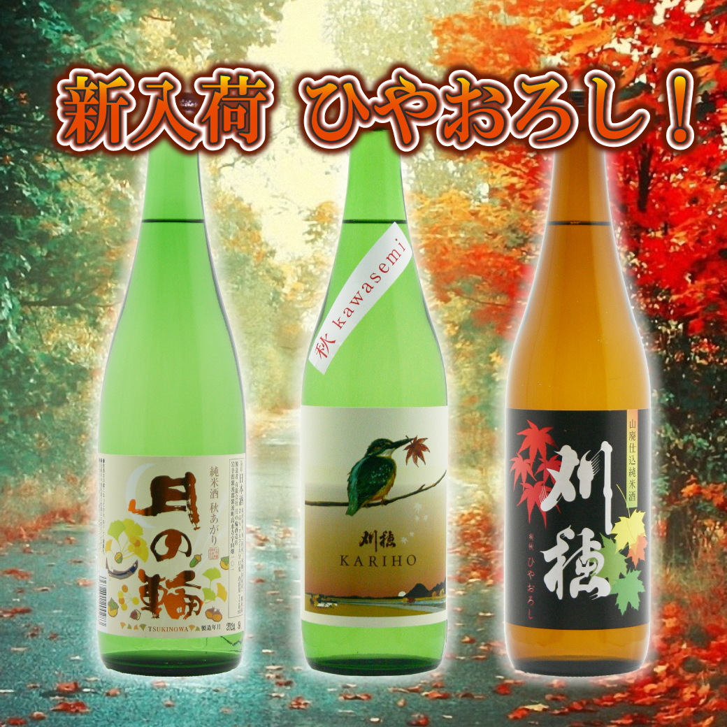 新入荷 ひやおろし！