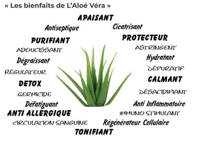 Site de aloeverakarineforever !