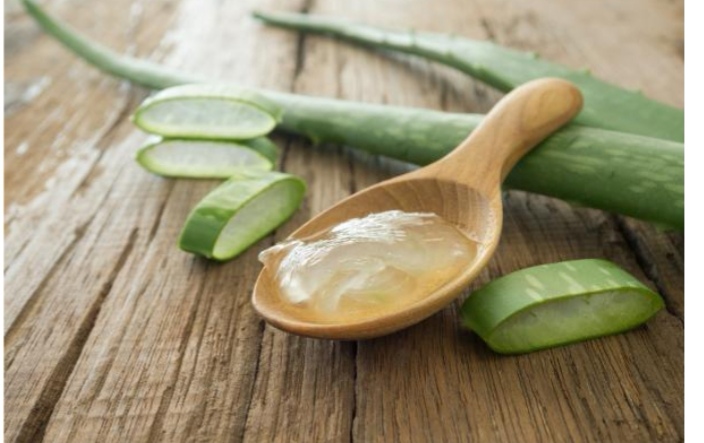 L'aloe vera l'élixir aux multiples vertus