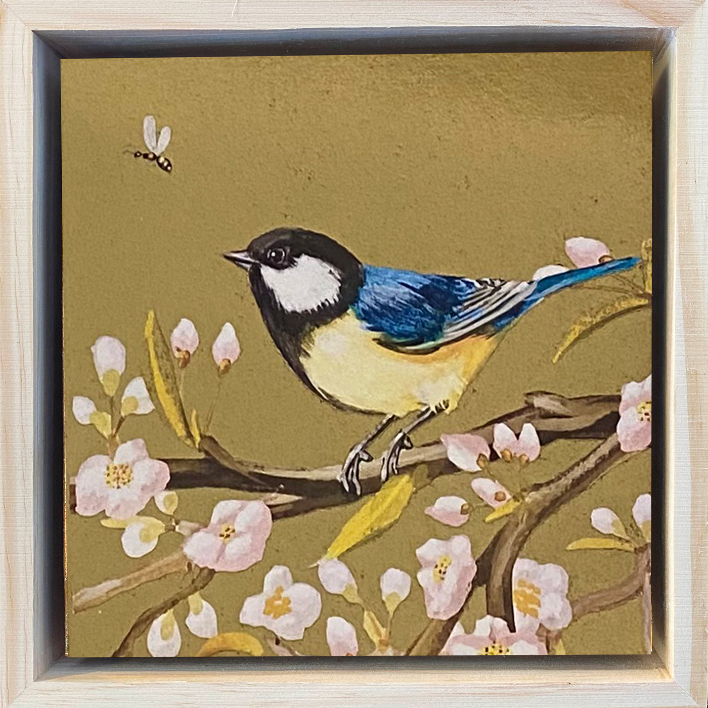 Pimpelmeesje