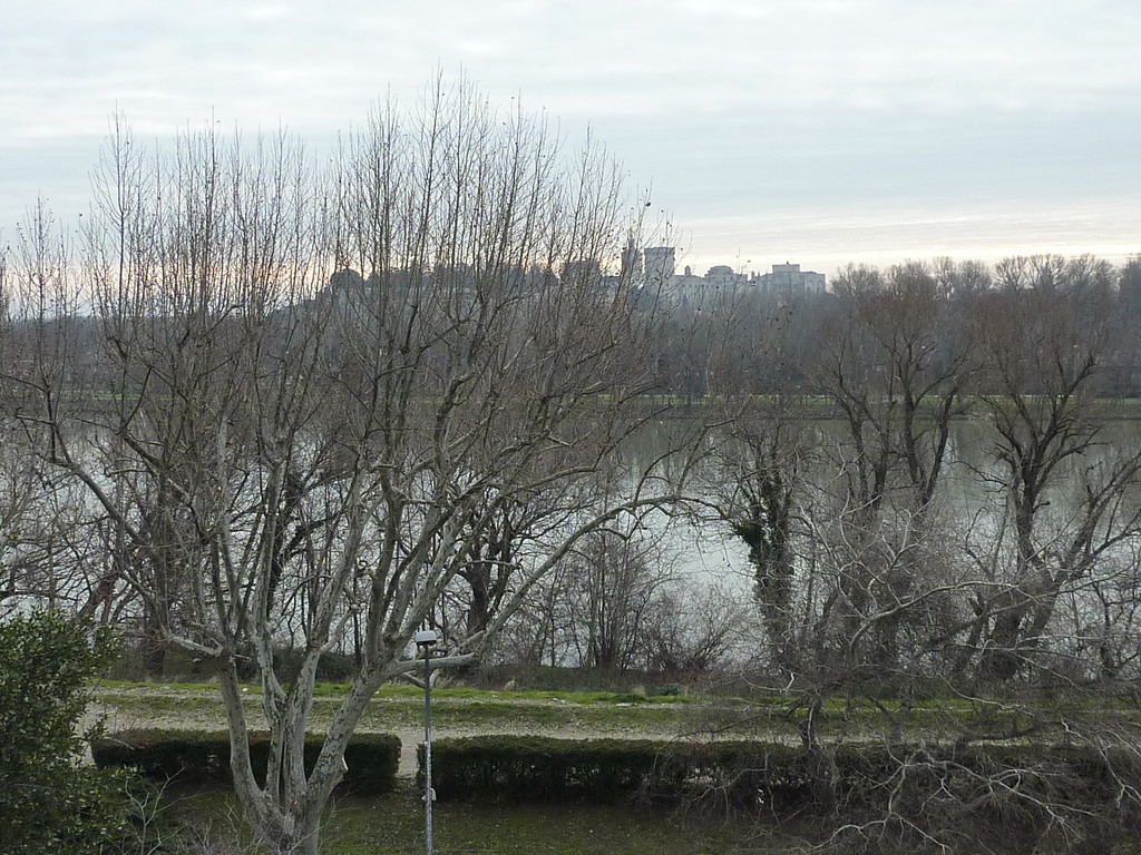 Vue depuis la rive droite du Rhône