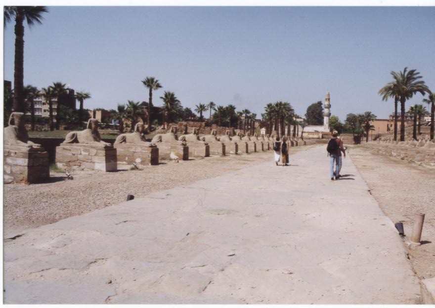 Le Dromos: allée de sphinxs reliant Louqsor à Karnak.