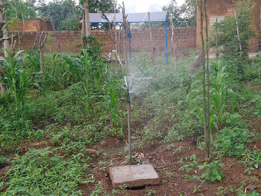 Auch das Bewässerungssystem für den Garten funktioniert mit Solarenergie. Das dafür notwendige Wasser liefert der neue Brunnen. Das gebrauchte Wasser der Fischzucht wird ebenfalls für den Garten verwendet.