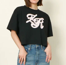 刺しゅうの上にスプレーで ボカシ効果で演出して います   