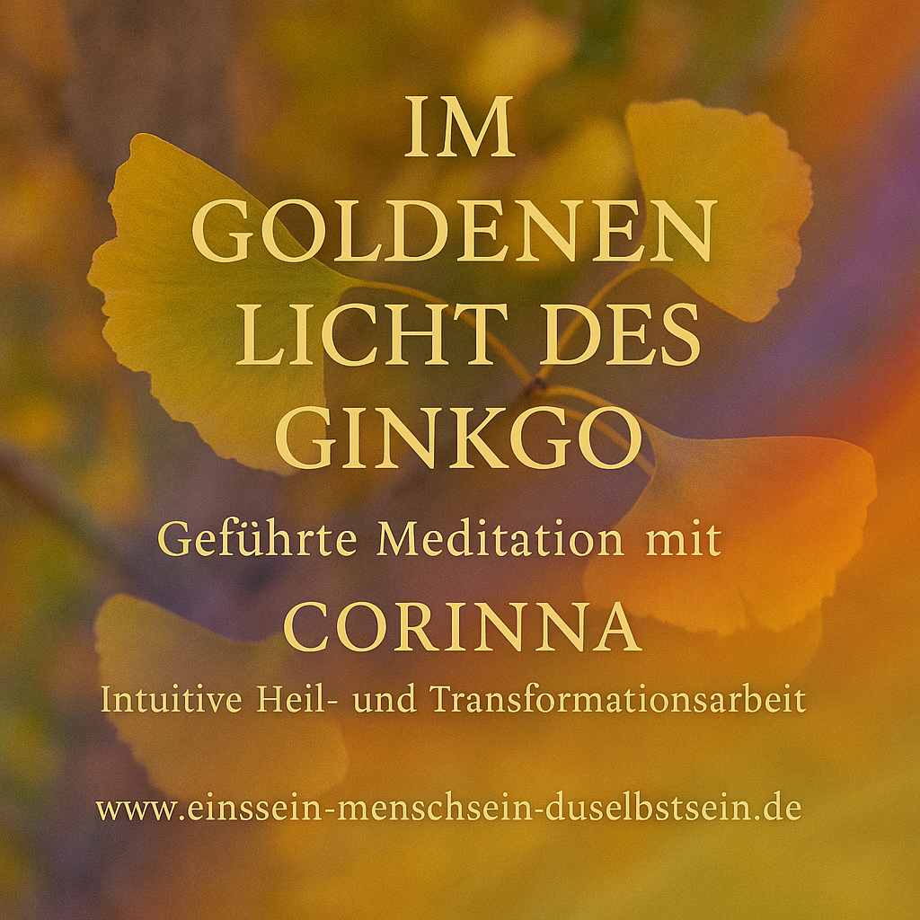 Im Goldenen Licht des Ginkgo