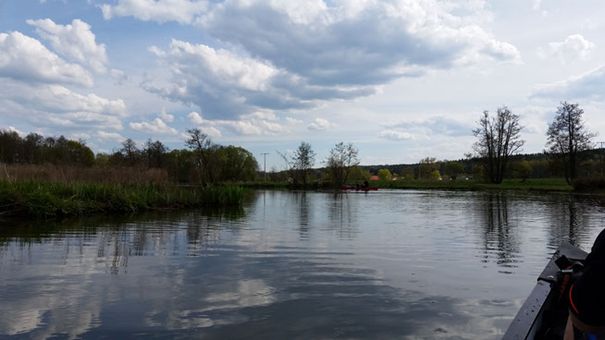  Vils bei Laubmühle - der breiteste Abschnitt im nördlichen Flusslauf!