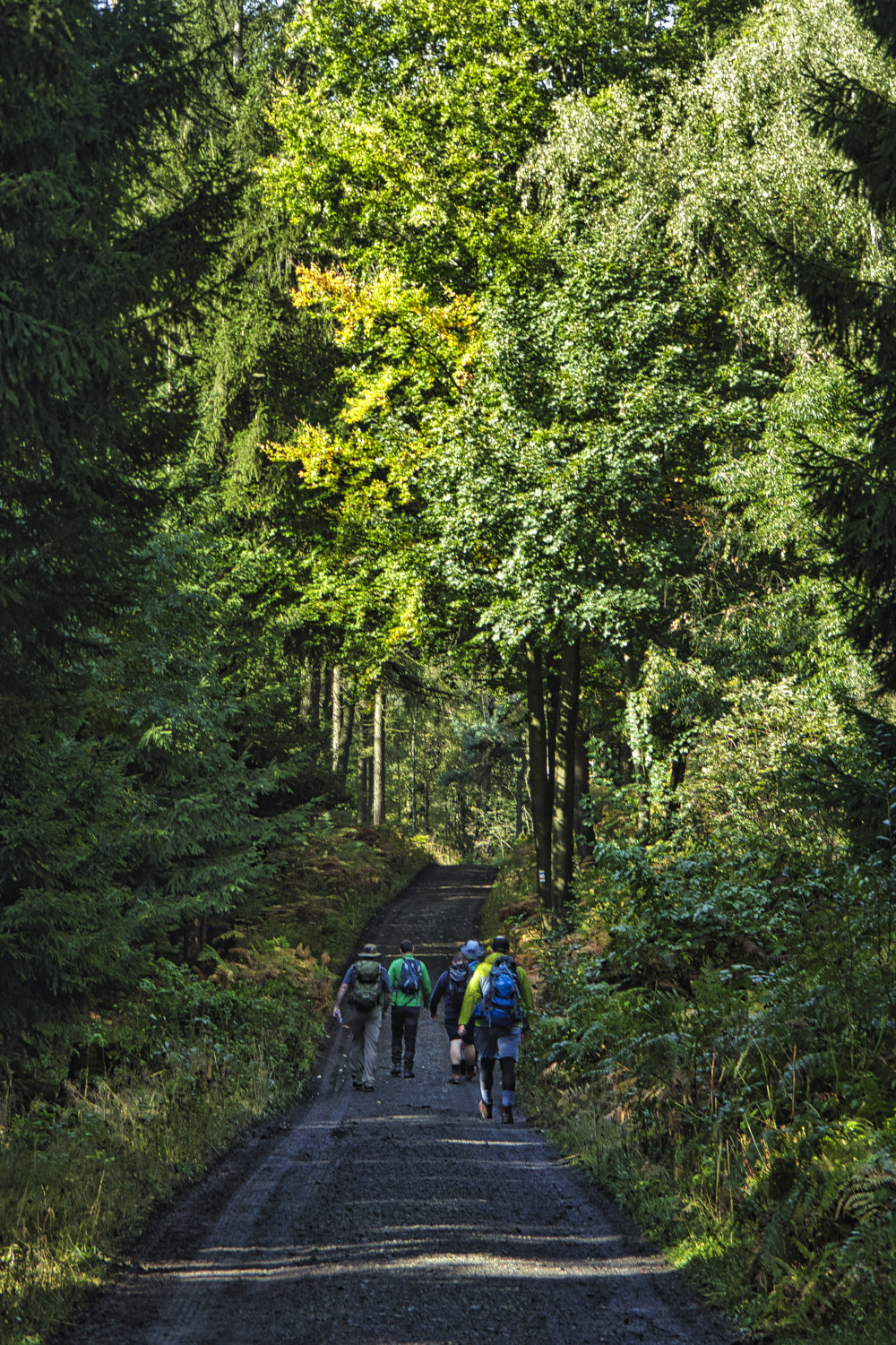 Auf dem Weg zur Lausche.