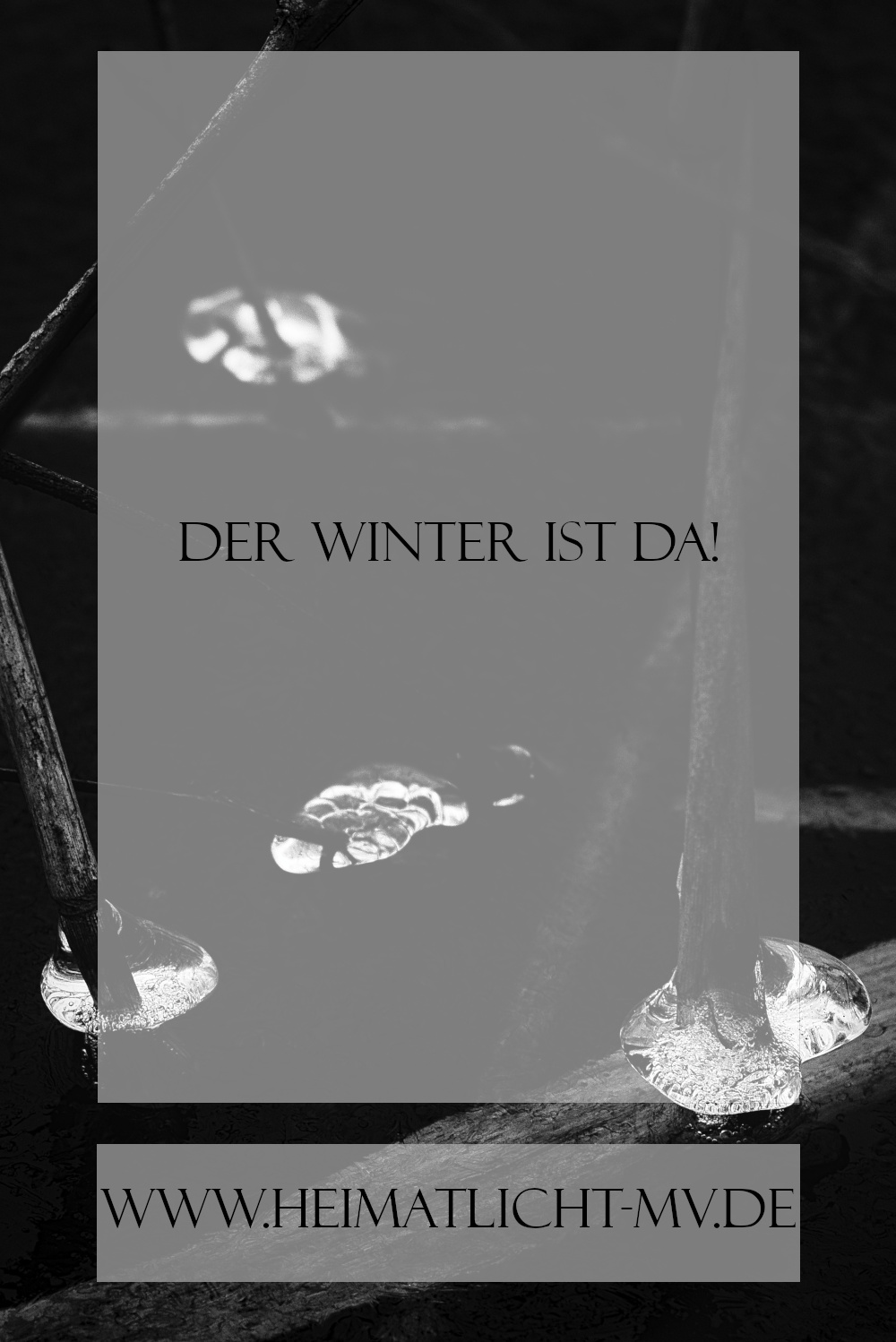 Der Winter ist da!