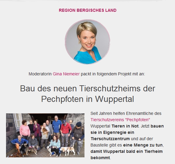 Quelle: Lokalzeit Newsletter Ehrenamt