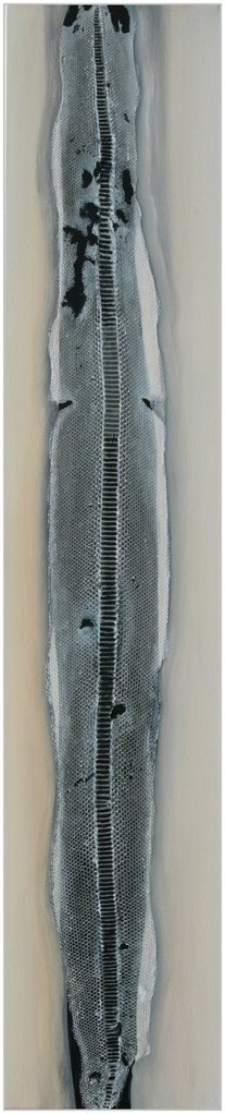 WEG 2
