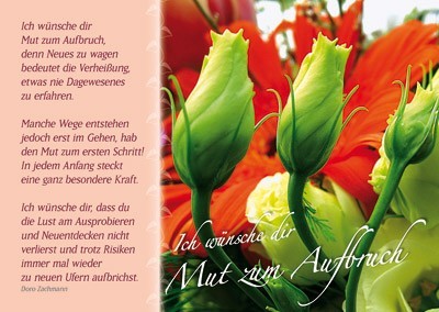 Meine Rosen Postkarten Mit Guten Wunschen Doro Zachmann