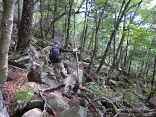 １３：０５　ゴツゴツした山道