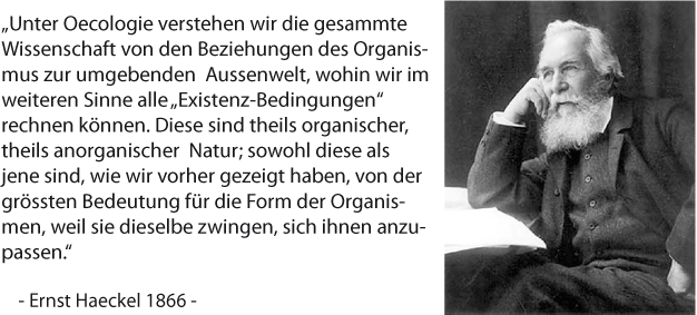 Q: Wikipedia. Ernst Heinrich Philipp August Haeckel (* 16. Februar 1834 in Potsdam; † 9. August 1919 in Jena) war ein deutscher Zoologe und Philosoph.
