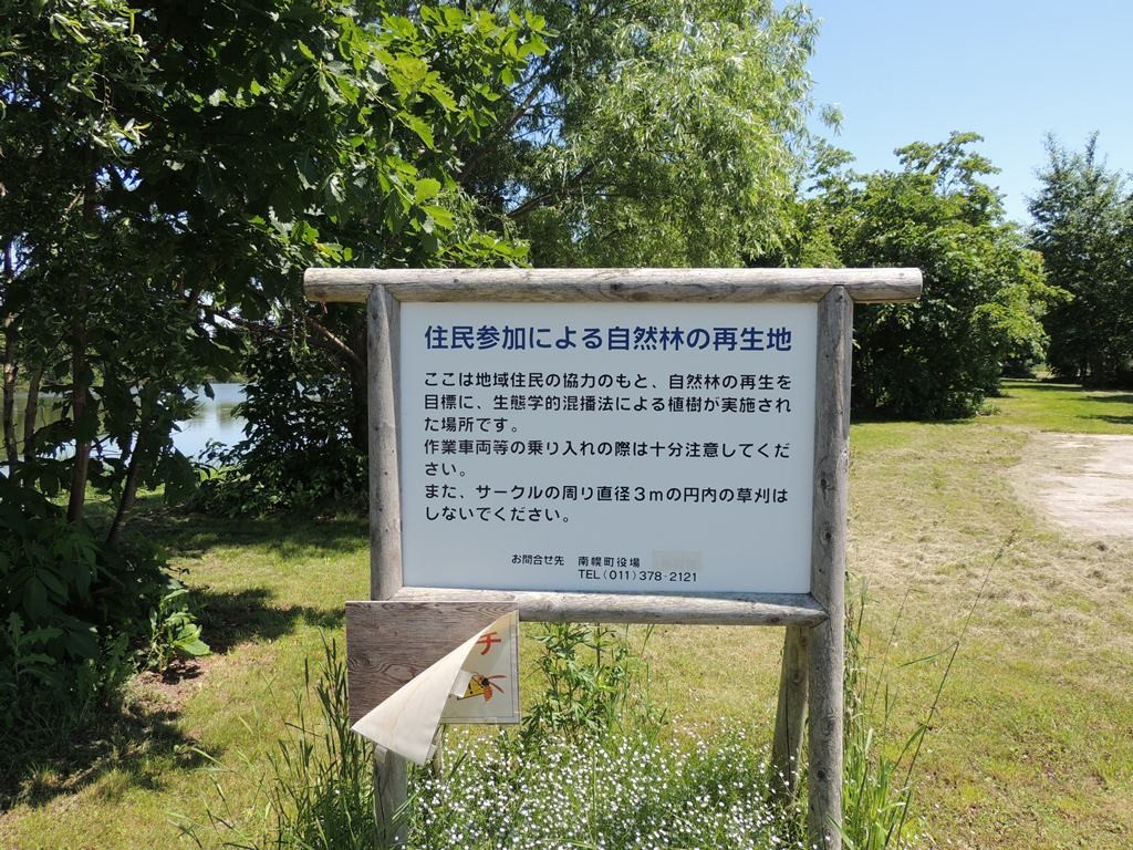 2014.06.22　三重湖公園の樹林地（スズメバチに注意）
