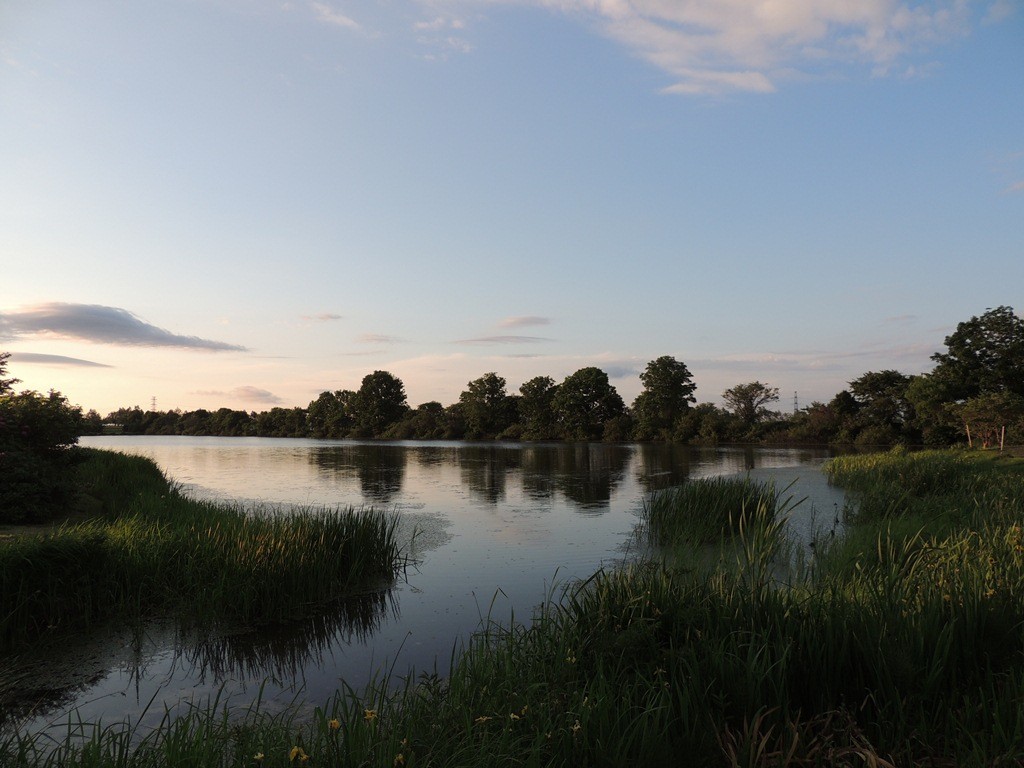 2014.06.22　夕方の三重湖公園