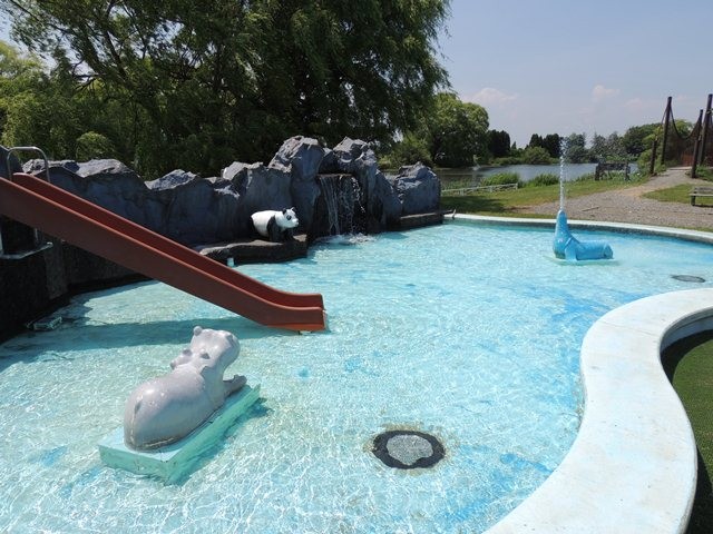 2014.06.27　プールに水が来ました　