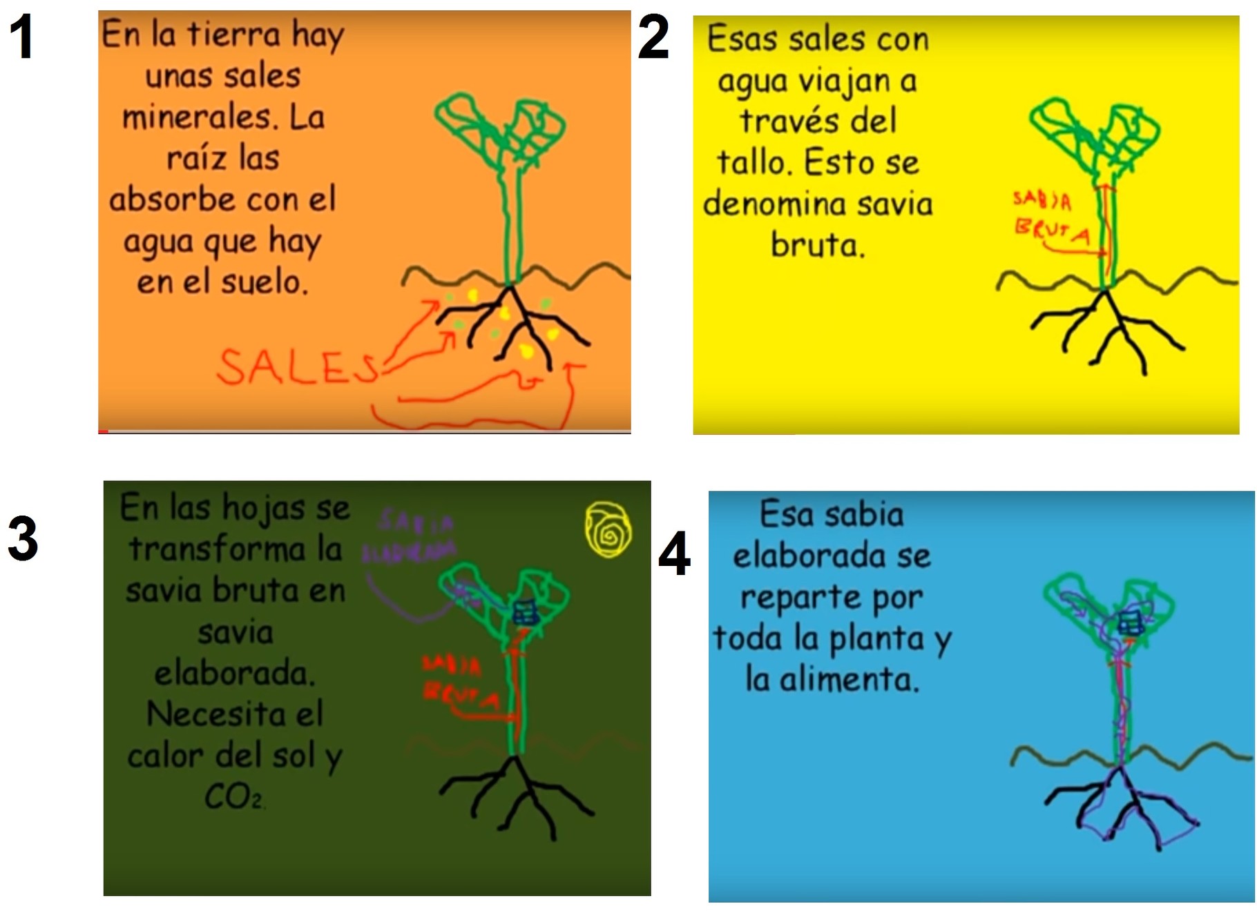 SEMANA 9 Segundo Uno