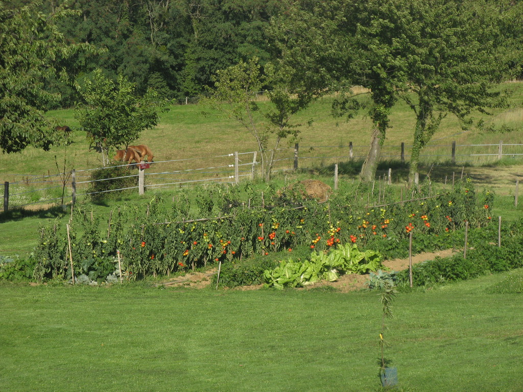 Le potager