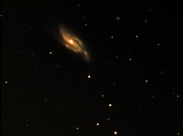 NGC4088-Celestron C5-Starligt Xpress MX716- 04-04-2006 -Rocchi Gianni