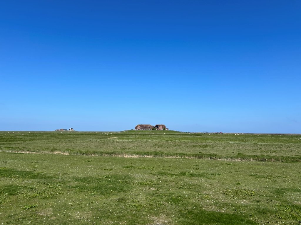 Heimat im Wind und Wattenmeer
