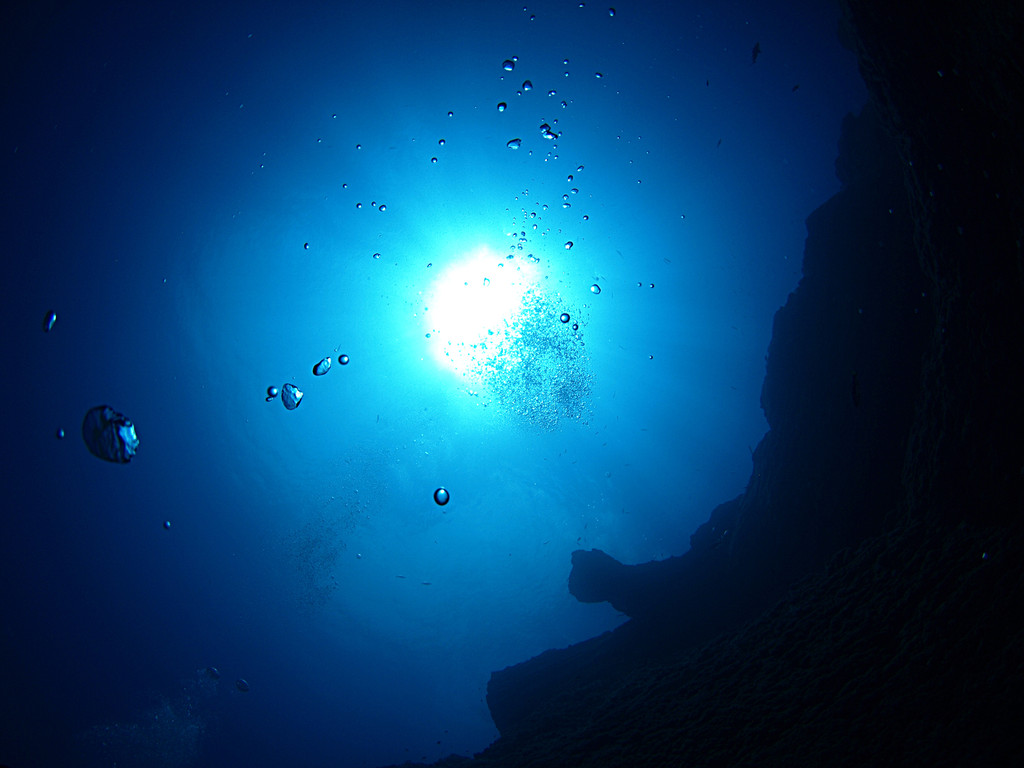 Blue Light Großes Muränen Riff Fuerteventura