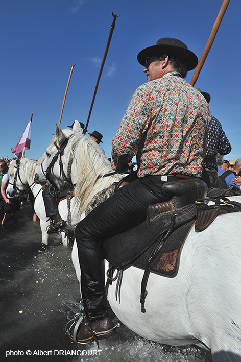 la procession encadrée par les chevaux arrive à la mer