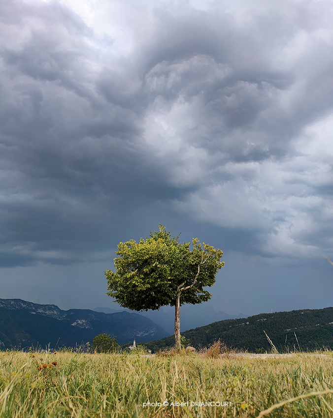 Août 2022, j'avais intitulé cette photo "promesse de pluie", en pleine période de sécheresse