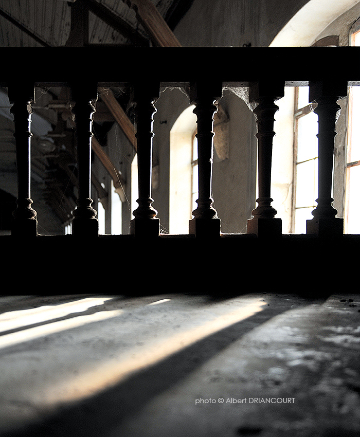 toiles d'araignées et lumière céleste