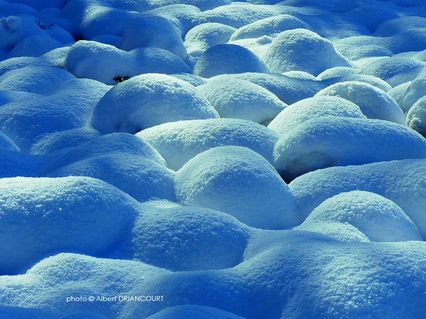 effet d'optique avec ses touffes d'herbe sous la neige